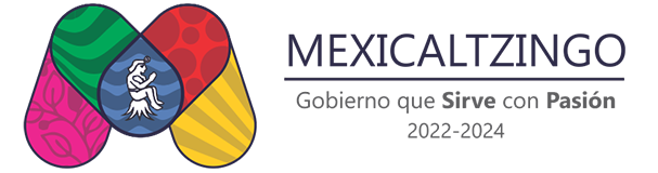 Municipio de Mexicaltzingo